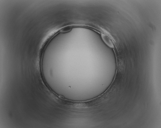 X0000116291464200912291403