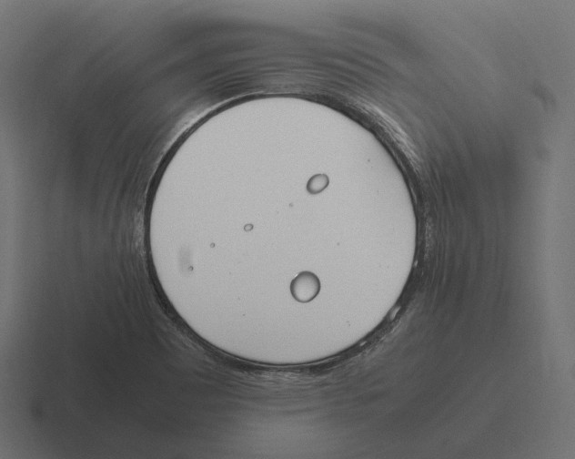 X0000116291465200912291403