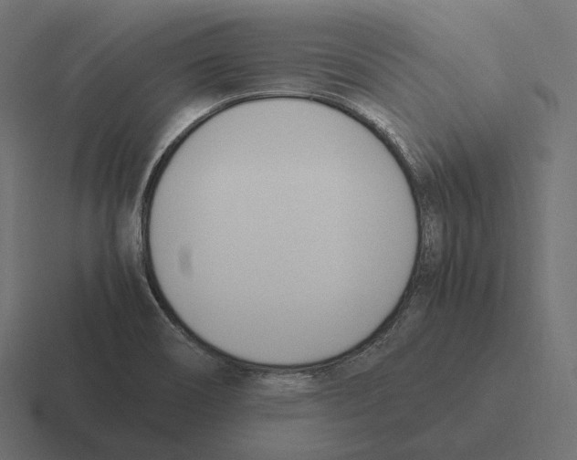 X0000116291466200912291403