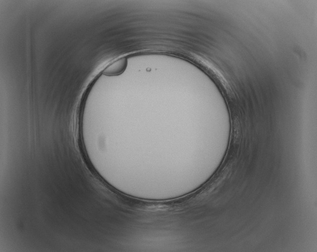 X0000116291467200912291403