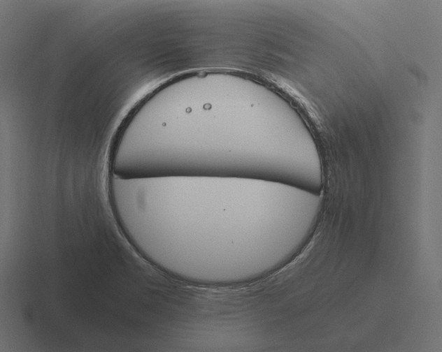 X0000116291469200912291403