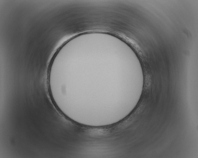 X0000116291470200912291403