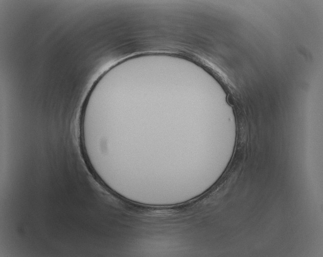 X0000116291471200912291403