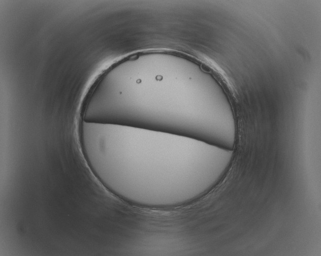 X0000116291472200912291403