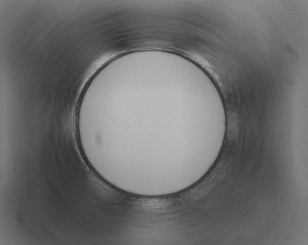 X0000116291474200912291403