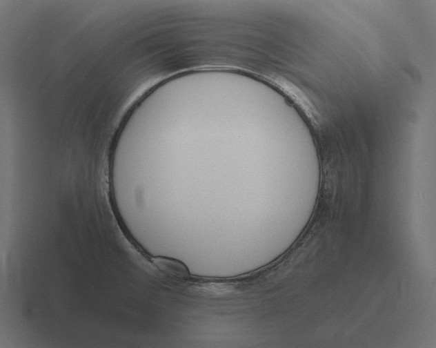 X0000116291476200912291403