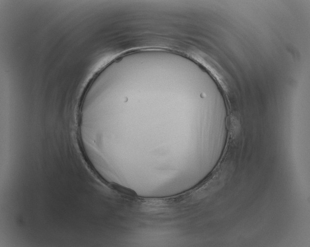 X0000116291477200912291403