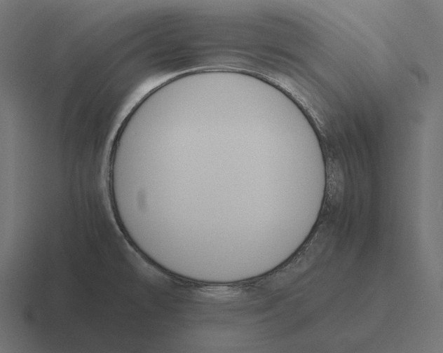 X0000116291478200912291403