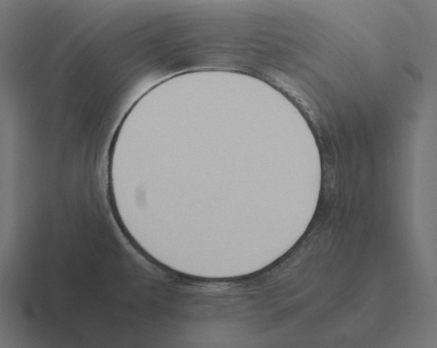 X0000116291479200912291403