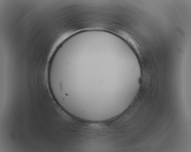 X0000116291480200912291403