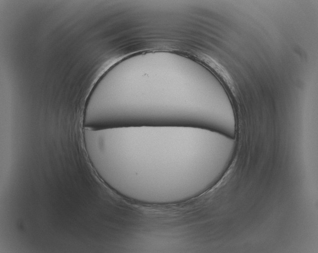 X0000116291481200912291403