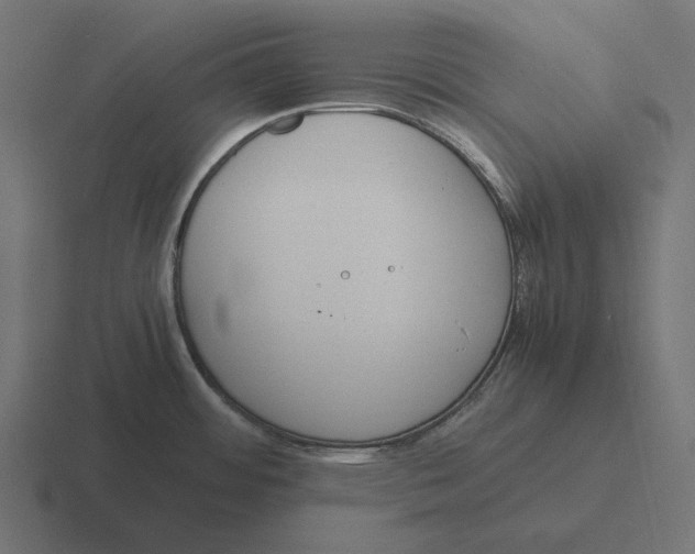 X0000116291484200912291402