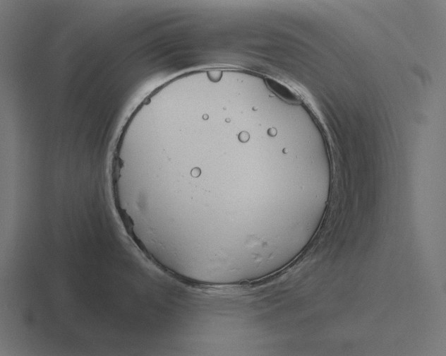 X0000116291488200912291402