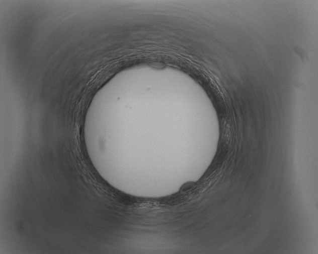 X0000116291489200912291402