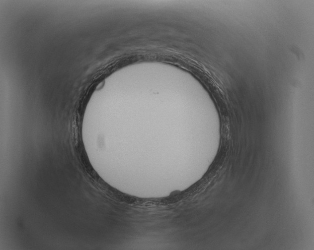 X0000116291493200912291402