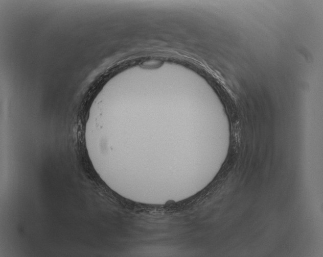 X0000116291495200912291402