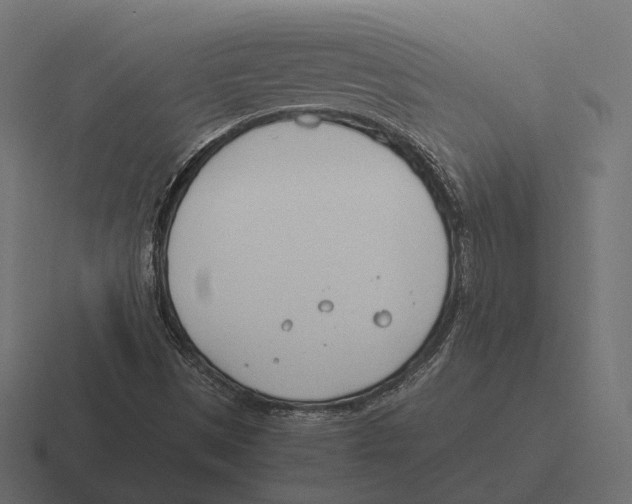 X0000116291497200912291402