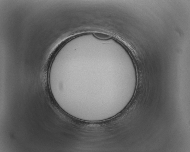 X0000116291503200912291402