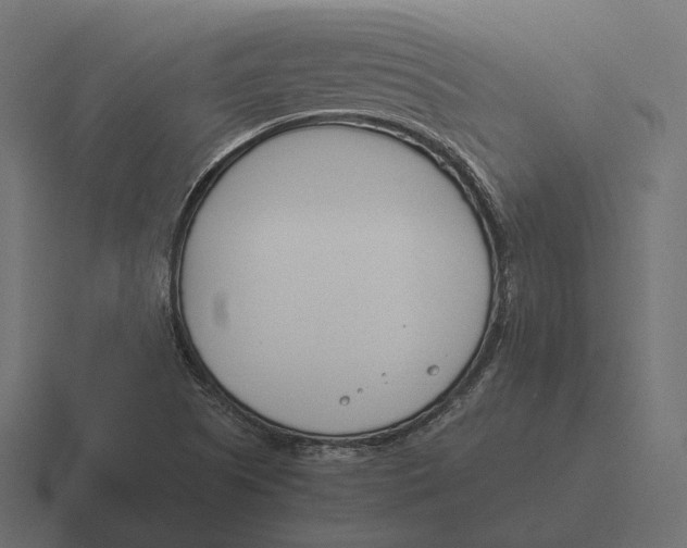 X0000116291505200912291402