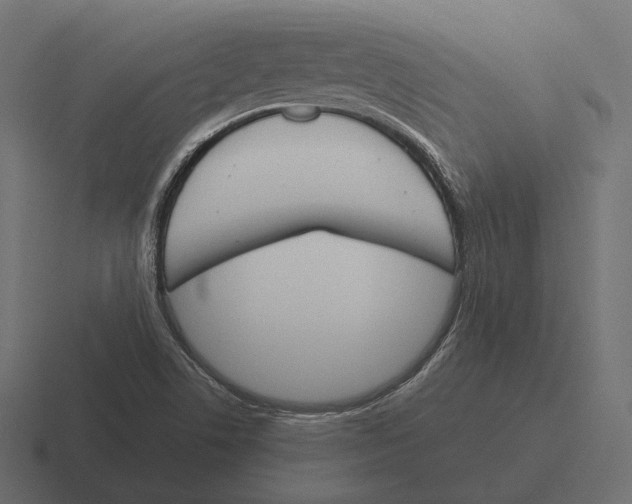 X0000116291506200912291402