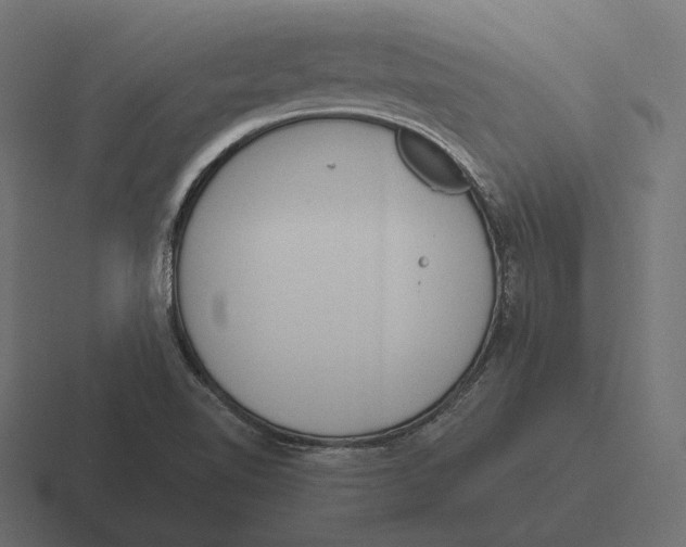 X0000116291510200912291402