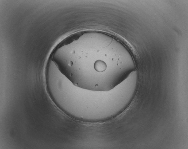 X0000116291514200912291402