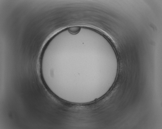 X0000116291517200912291402