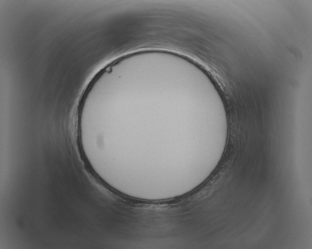 X0000116291519200912291402