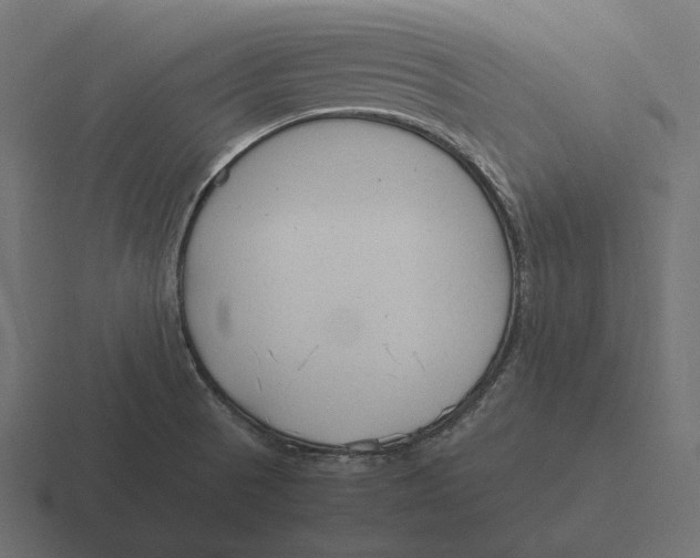 X0000116291521200912291402