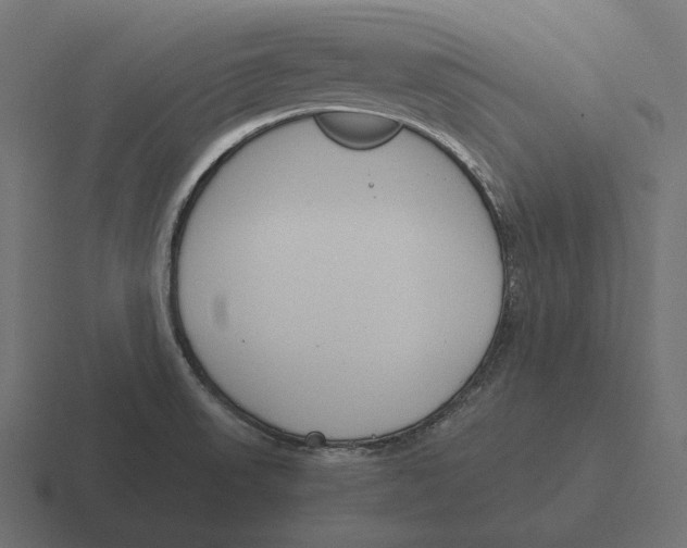 X0000116291523200912291402