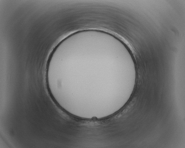 X0000116291525200912291402