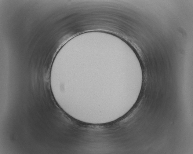 X0000116291529200912291402