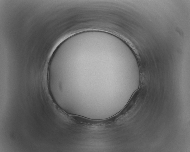 X0000116291530200912291402