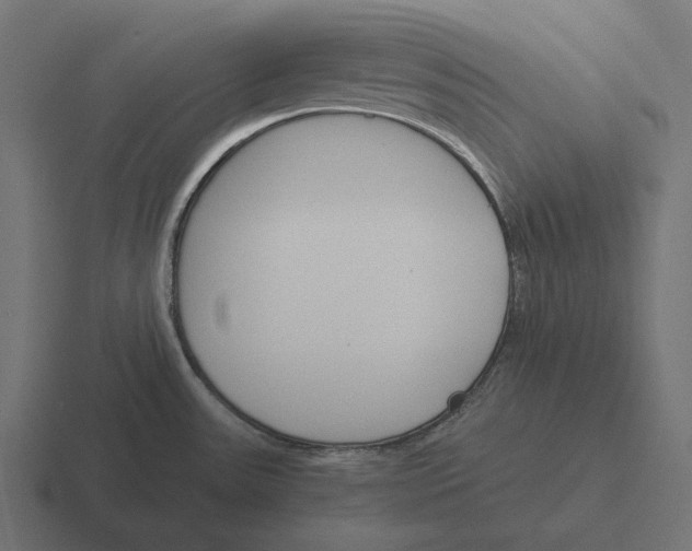 X0000116291531200912291402