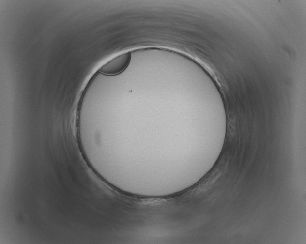 X0000116291535200912291402