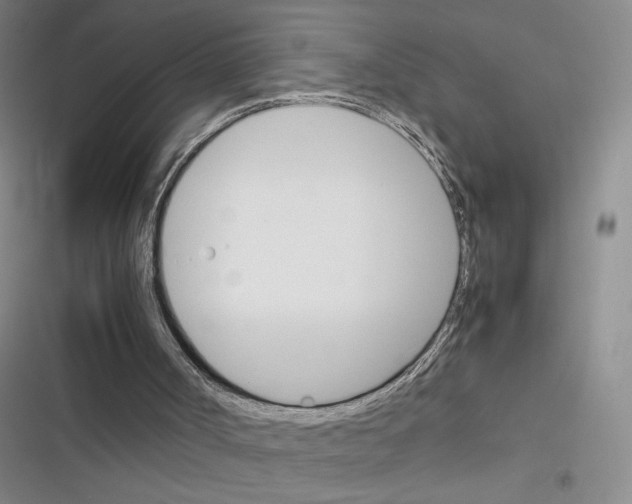 X0000116290002201001111106