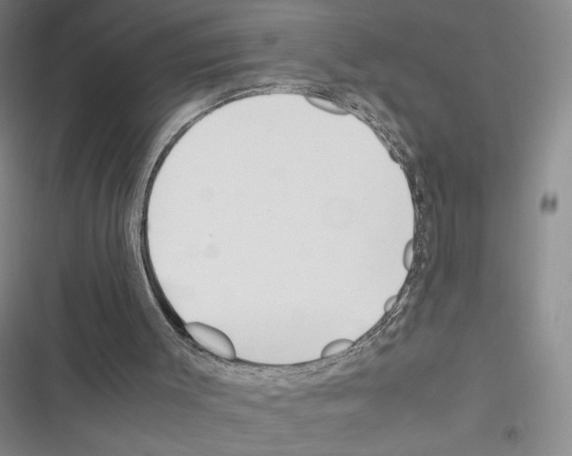 X0000116290003201001111106