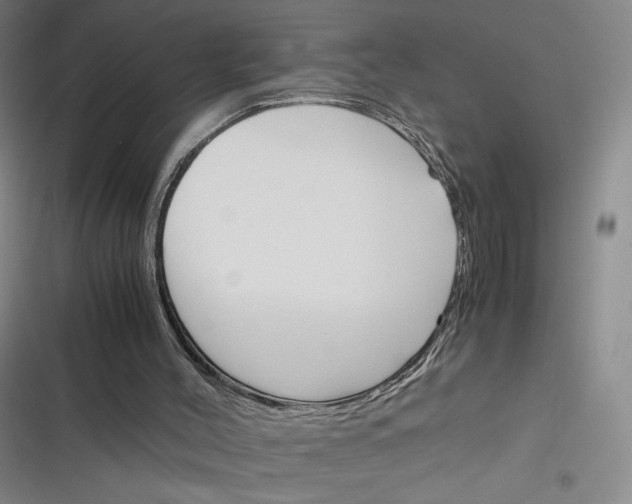 X0000116290004201001111106