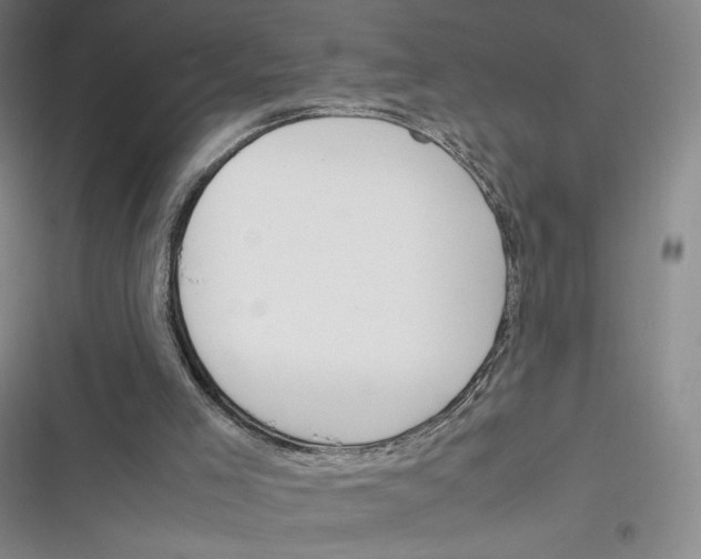 X0000116290005201001111106