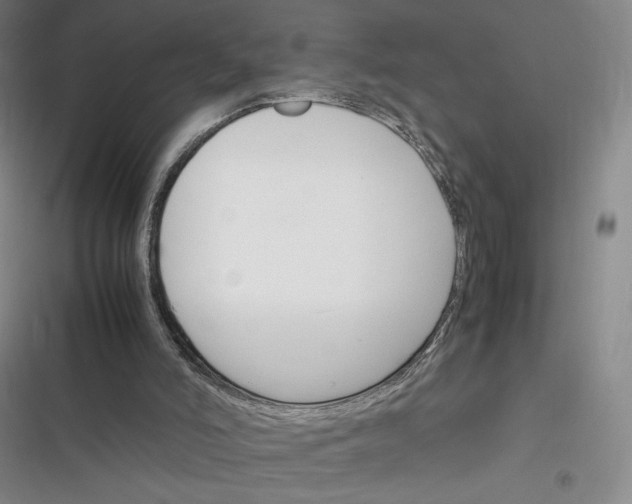 X0000116290006201001111106