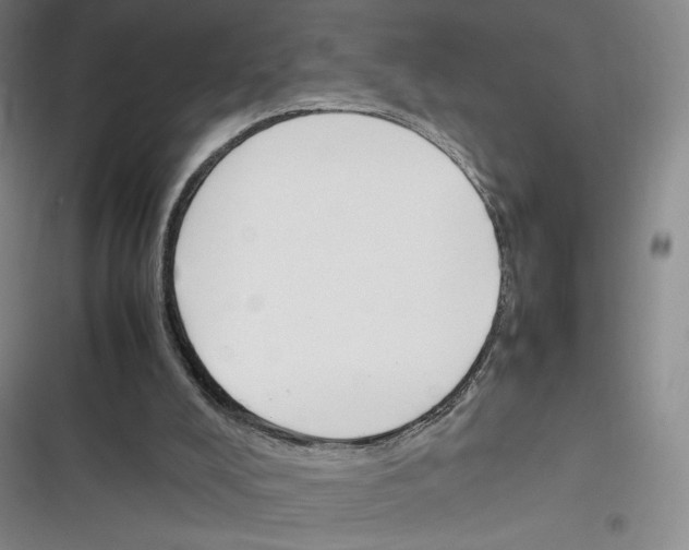 X0000116290008201001111106