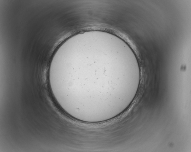 X0000116290010201001111106