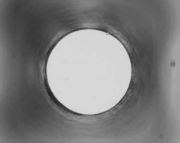 X0000116290011201001111106