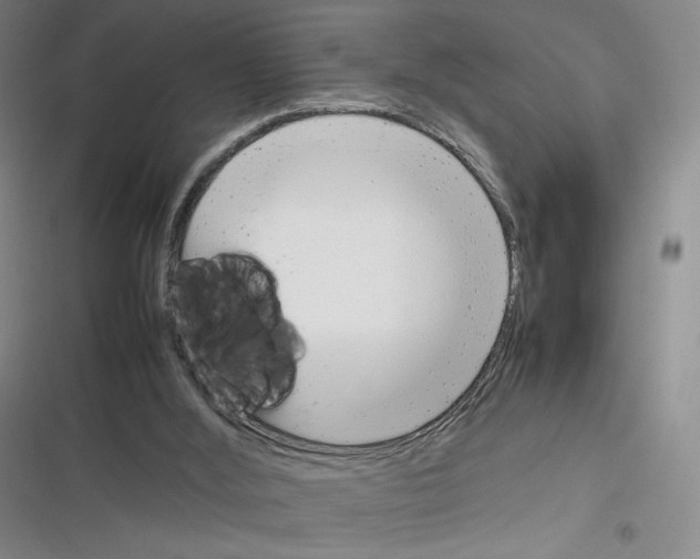 X0000116290012201001111106