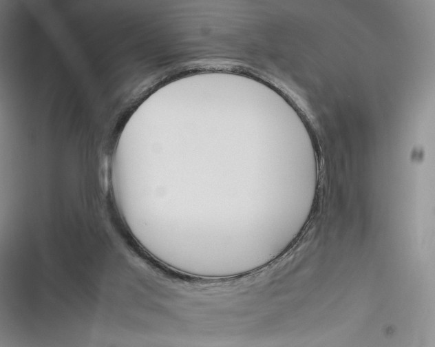 X0000116290013201001111106