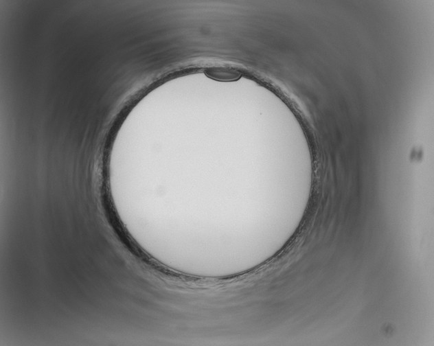 X0000116290015201001111106