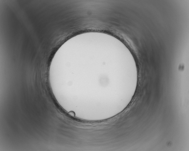 X0000116290017201001111106