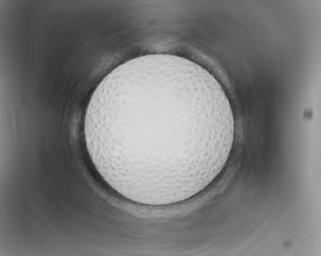 X0000116290018201001111106