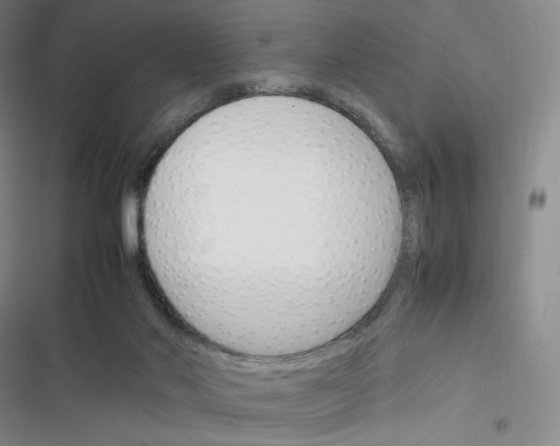 X0000116290022201001111106