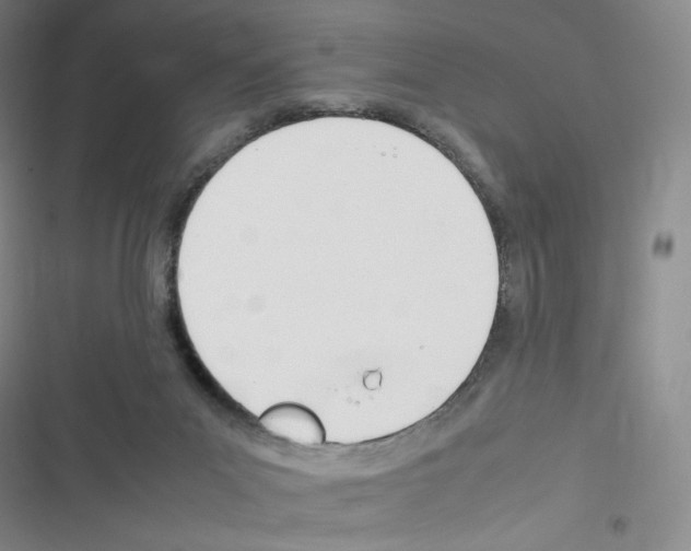 X0000116290023201001111106